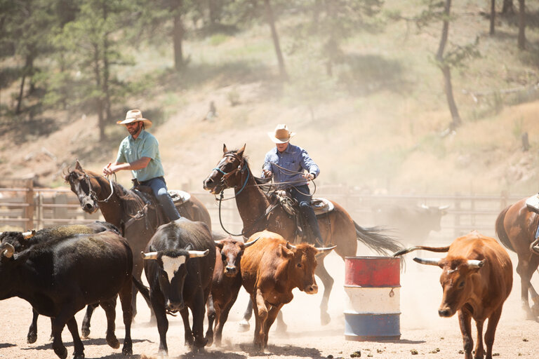 Colorado Ranch Photos | Lost Valley Ranch Image Gallery