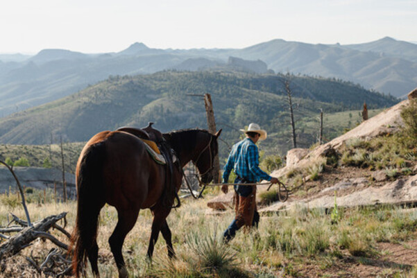 man walking with horse at colorado ranch