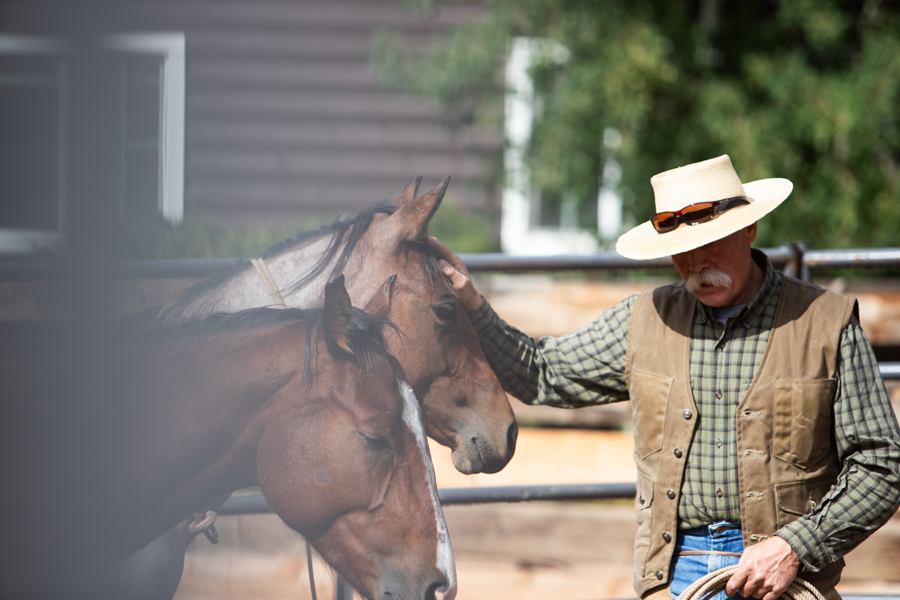 rancher petting horses